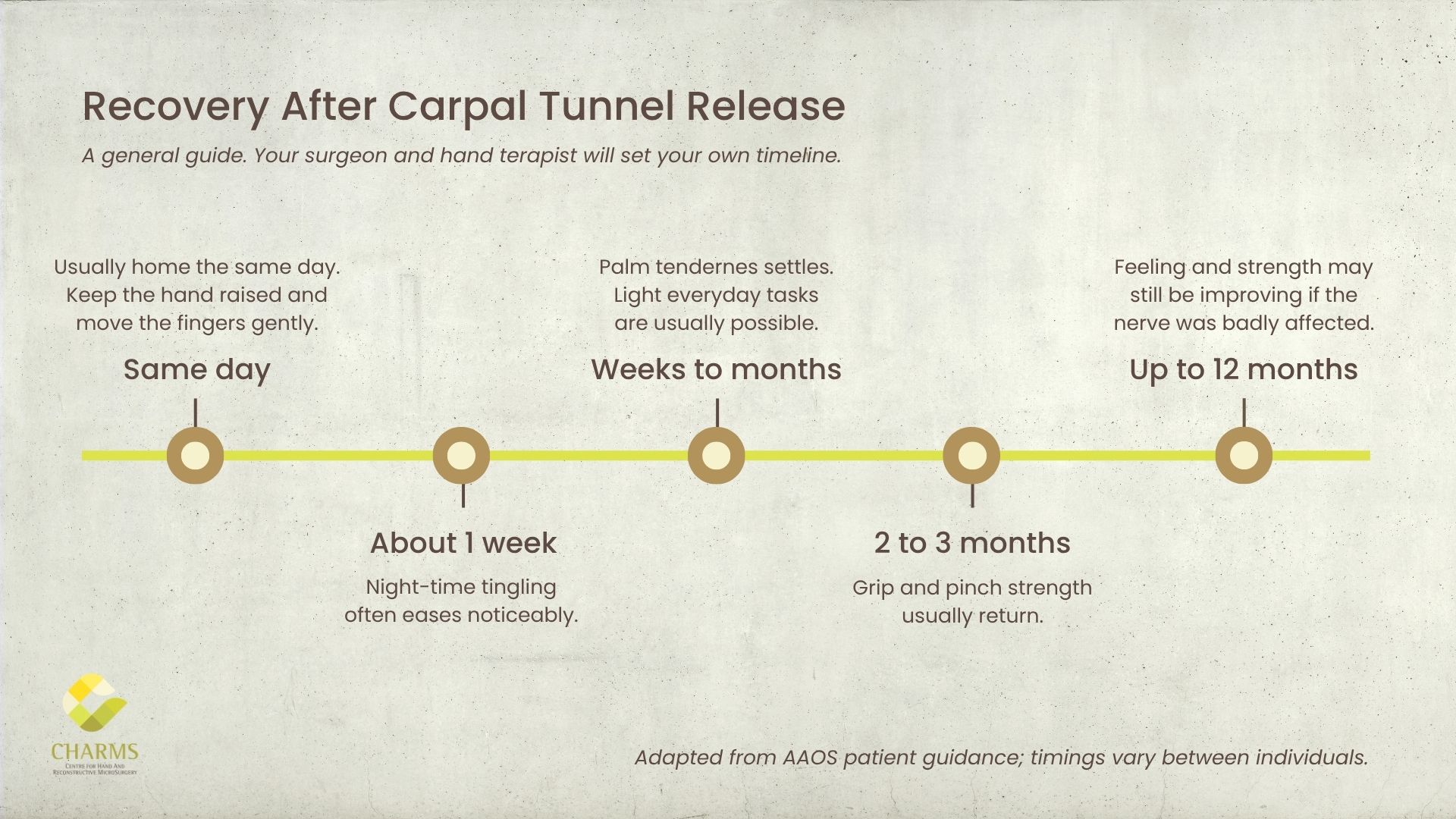Timeline of recovery after carpal tunnel release surgery, from the same day to up to 12 months, showing when tingling, palm tenderness and grip strength typically improve